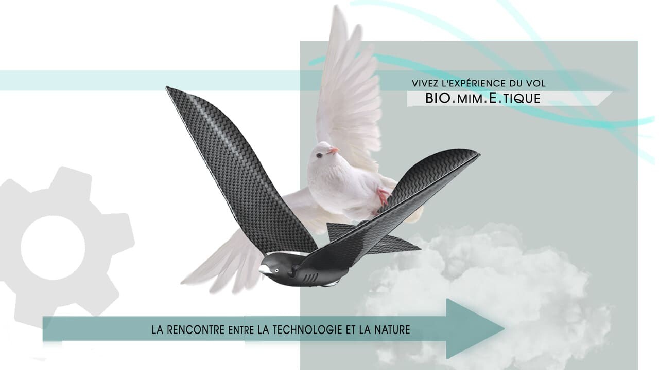 EN-rencontre-entre-technologie-et-nature-1 technologie des drones biomimétiques MetaFly, MetaBird, X-Fly inspirés par la nature, qui battent des ailes comme les oiseaux ou les insectes, radiocommandés et contrôlés par smartphone par Bionic Bird