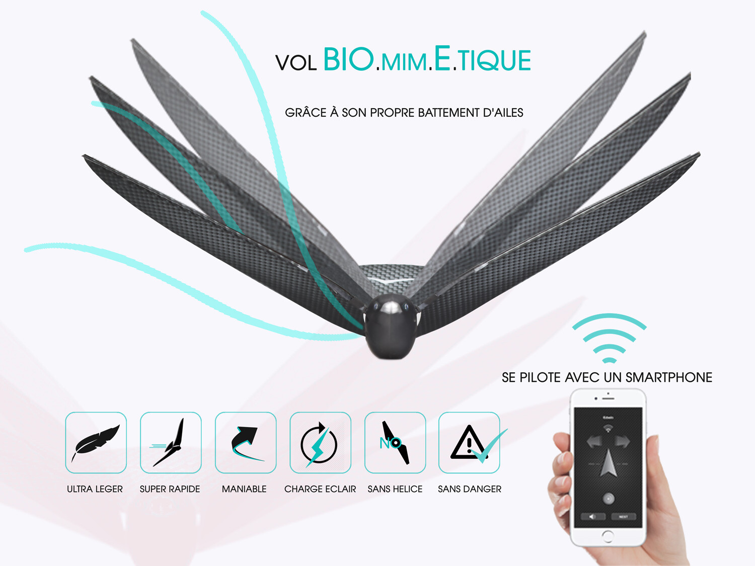 01-ENGLISH-Phone-version-MetaBird-battement-dailes