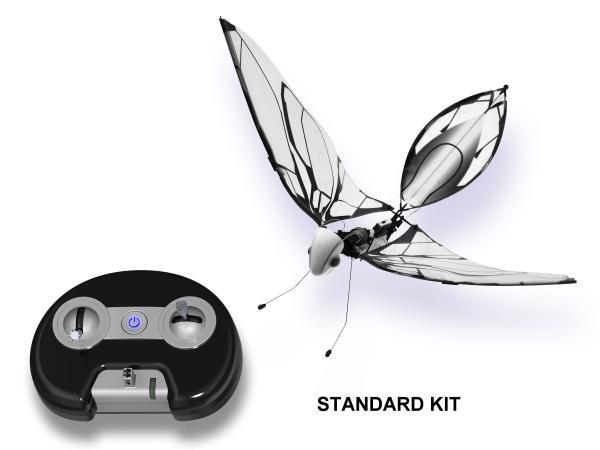 MetaFly – Image 4