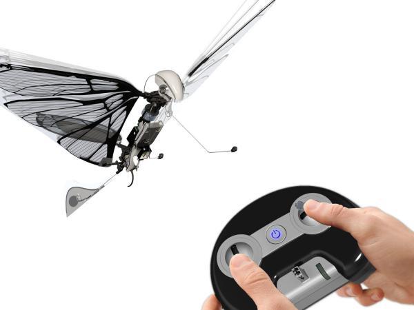 MetaFly – Image 3