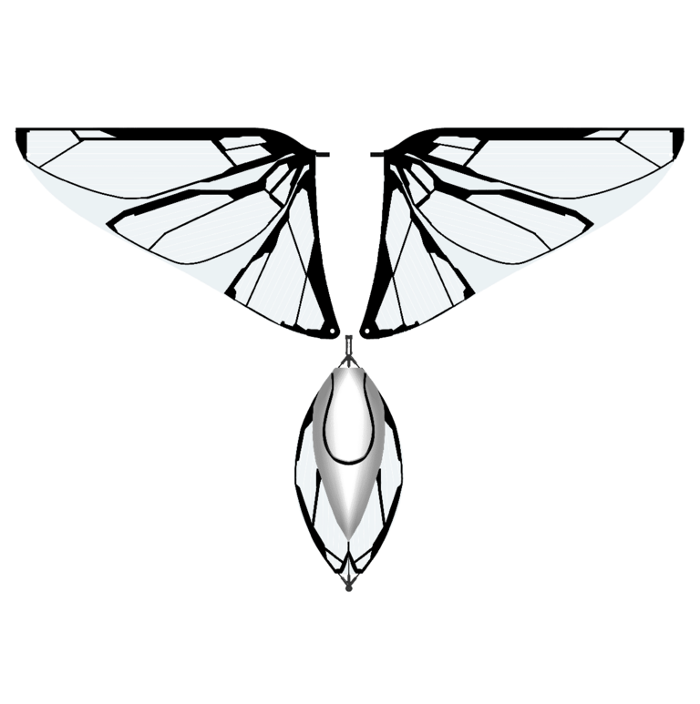 Wings & tail standard edition kit