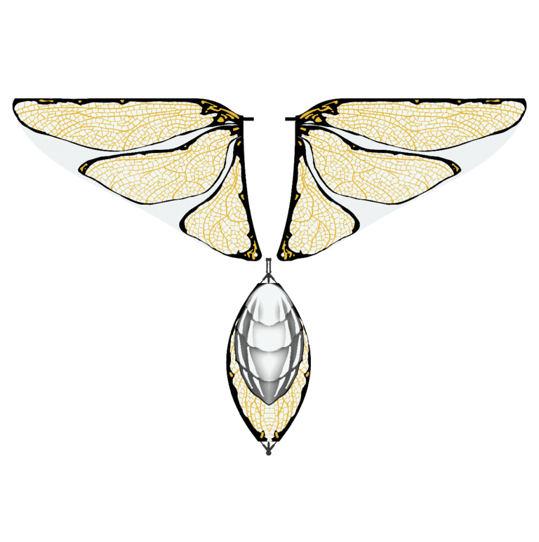 Wings & tail special edition kit