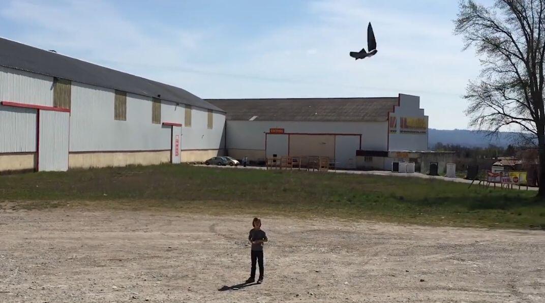 Video preview 1
