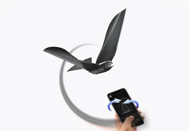 MetaBird - Image 3