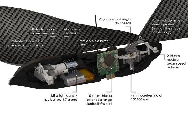 MetaBird - Image 4